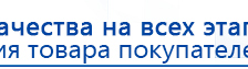 ЧЭНС-01-Скэнар-М купить в Раменском, Аппараты Скэнар купить в Раменском, Дэнас официальный сайт denasdoctor.ru